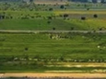 TERRENO EN RENTA EN QUERÉTARO