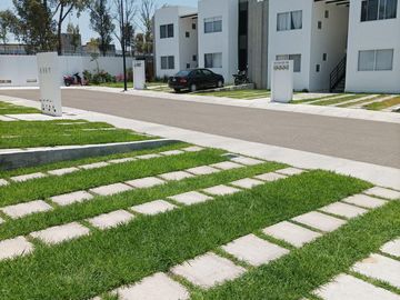 Departamento Renta Planta baja Los Encinos el Marques Queretaro