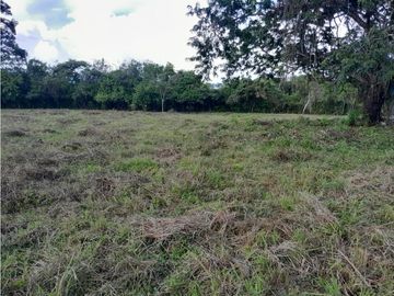 SE VENDE FINCA EN CAPIRA EL CIRUELITO 2.7 HECTAREAS TERRENO AMPLIO