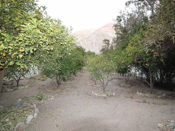 Casa en venta  en VICUÑA