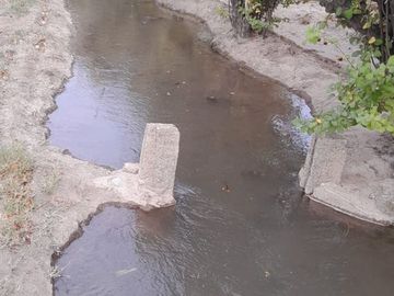 Finca Membrillera en Lavalle
