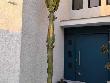 Casa en venta  en ANTOFAGASTA