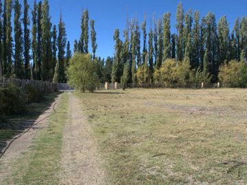 ALQUILER LOTE 5000 M2 RIO COLORADO 425 PLOTTIER