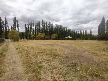 ALQUILER LOTE 5000 M2 RIO COLORADO 425 PLOTTIER