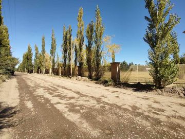 ALQUILER LOTE 5000 M2 RIO COLORADO 425 PLOTTIER