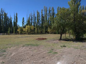 ALQUILER LOTE 5000 M2 RIO COLORADO 425 PLOTTIER