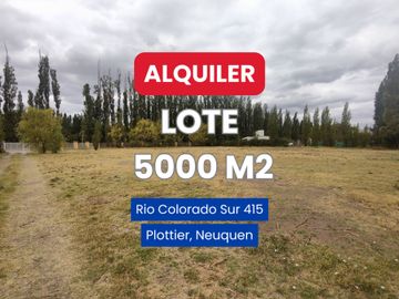ALQUILER LOTE 5000 M2 RIO COLORADO 425 PLOTTIER