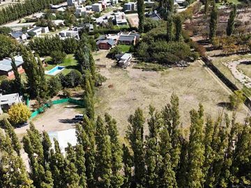 ALQUILER LOTE 5000 M2 RIO COLORADO 425 PLOTTIER