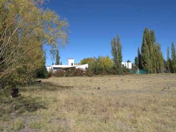 ALQUILER LOTE 5000 M2 RIO COLORADO 425 PLOTTIER