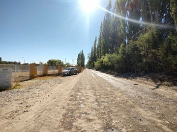 ALQUILER LOTE 5000 M2 RIO COLORADO 425 PLOTTIER