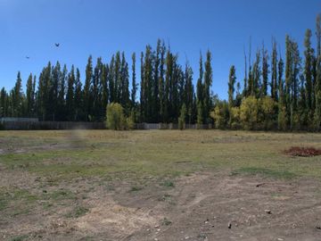 ALQUILER LOTE 5000 M2 RIO COLORADO 425 PLOTTIER