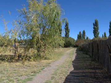 ALQUILER LOTE 5000 M2 RIO COLORADO 425 PLOTTIER