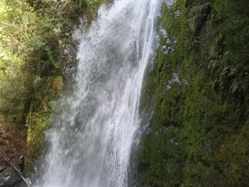 Venta Terreno Futaleufú