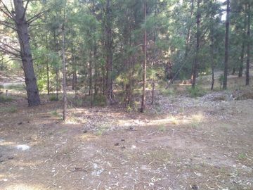 GRAN LOTE EN PINAR DEL GOLF - MONTE HERMOSO