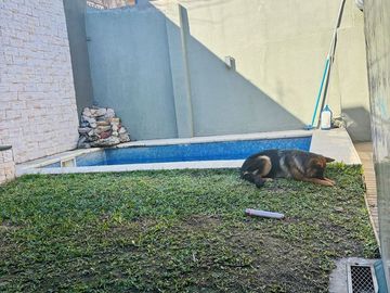 CASA EN LOTE PROPIO CON FONDO LIBRE Y PISCINA.