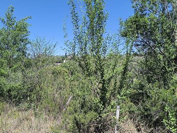 VENTA LOTE PARQUE PSIQUIMAN 1017 M2