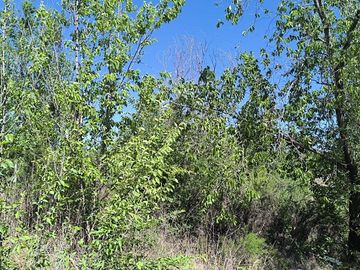 VENTA LOTE PARQUE PSIQUIMAN 1017 M2