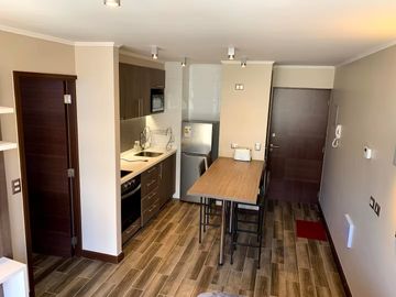 EXCLUSIVO DEPARTAMENTO AMOBLADO - ISLA TEJA VALDIVIA