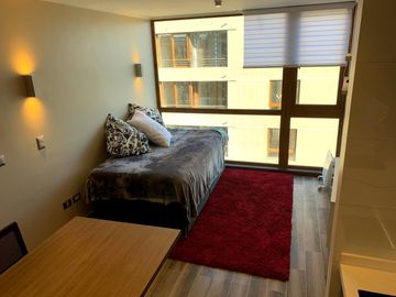 EXCLUSIVO DEPARTAMENTO AMOBLADO - ISLA TEJA VALDIVIA