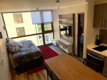 EXCLUSIVO DEPARTAMENTO AMOBLADO - ISLA TEJA VALDIVIA