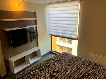 EXCLUSIVO DEPARTAMENTO AMOBLADO - ISLA TEJA VALDIVIA