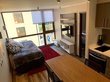 EXCLUSIVO DEPARTAMENTO AMOBLADO - ISLA TEJA VALDIVIA