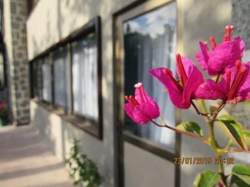 HOTEL BOUTIQUE EN ALGARROBO - HERMOSO