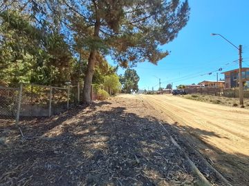 SITIO EN AVENIDA ESPAÑA CON 8 SUR, EL QUISCO 405 M2