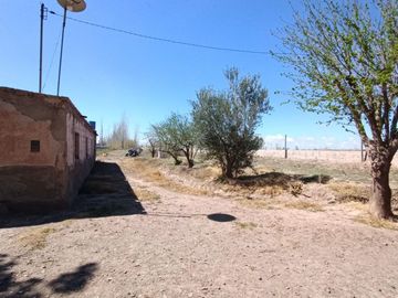 VENTA FINCA NUEVA CALIFORNIA SAN MARTIN MENDOZA