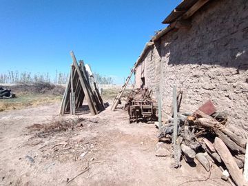 VENTA FINCA NUEVA CALIFORNIA SAN MARTIN MENDOZA