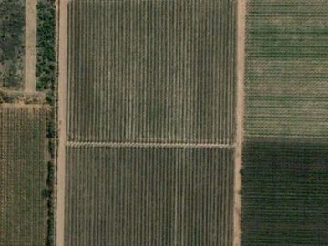 VENTA FINCA NUEVA CALIFORNIA SAN MARTIN MENDOZA