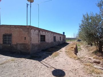 VENTA FINCA NUEVA CALIFORNIA SAN MARTIN MENDOZA