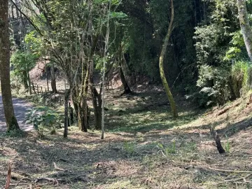Terreno en venta en Ejidal (Ejido San Andrés), Tlalnelhuayocan, Veracruz de Ignacio de la Llave