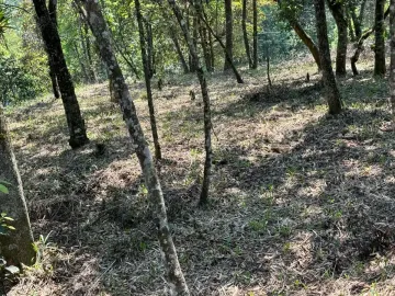 Terreno en venta en Ejidal (Ejido San Andrés), Tlalnelhuayocan, Veracruz de Ignacio de la Llave