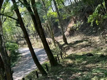 Terreno en venta en Ejidal (Ejido San Andrés), Tlalnelhuayocan, Veracruz de Ignacio de la Llave