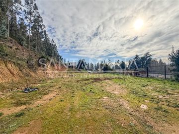 Terreno Construccion en Venta en Mitrinhue, Camino a Santa Juana