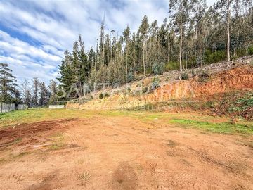 Terreno Construccion en Venta en Mitrinhue, Camino a Santa Juana