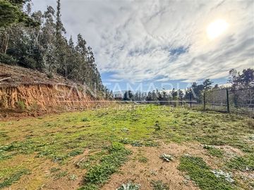 Terreno Construccion en Venta en Mitrinhue, Camino a Santa Juana