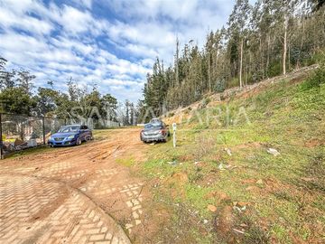 Terreno Construccion en Venta en Mitrinhue, Camino a Santa Juana