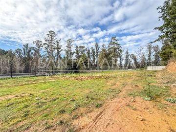 Terreno Construccion en Venta en Mitrinhue, Camino a Santa Juana