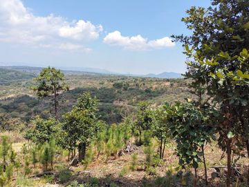 Terreno en venta en El Cristiano , Atemajac de Brizuela Jal .