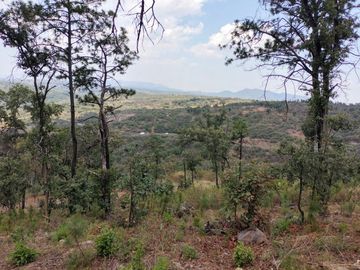 Terreno en venta en El Cristiano , Atemajac de Brizuela Jal .