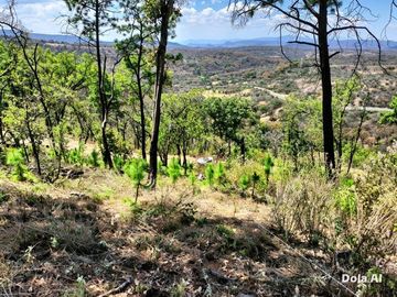 Terreno en venta en El Cristiano , Atemajac de Brizuela Jal .