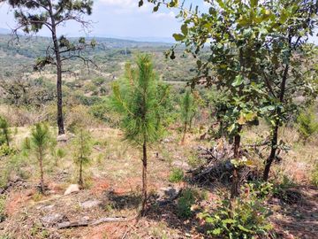Terreno en venta en El Cristiano , Atemajac de Brizuela Jal .
