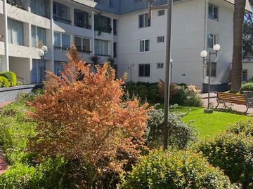 Departamento en venta  en VIÑA DEL MAR