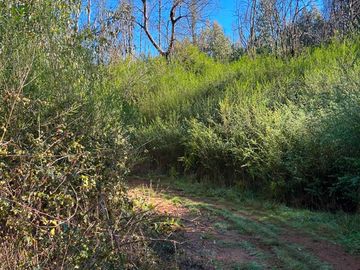 Parcela en venta  en CORONEL