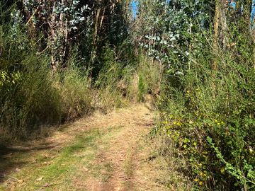 Parcela en venta  en CORONEL