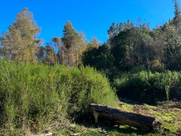 Parcela en venta  en CORONEL