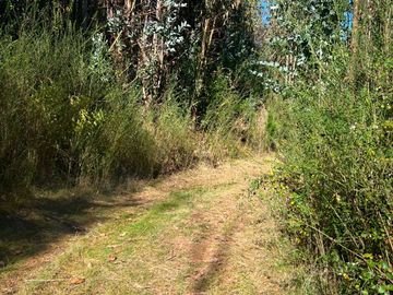 Parcela en venta  en CORONEL