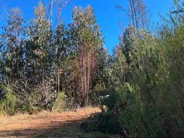 Parcela en venta  en CORONEL